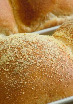 美味しいチーズパン　お試しを～♪-レシピのメイン写真