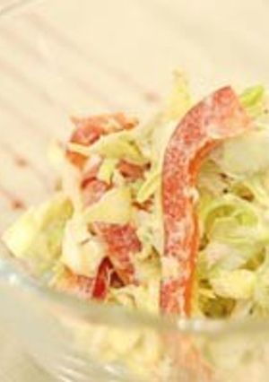 春キャベツのコールスロー-レシピのメイン写真