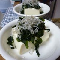 基本からアレンジまで！思わずつくりたくなる「冷奴 ワカメ」のレシピ