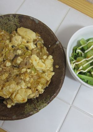 マーボー豆腐(和風テイスト)-レシピのメイン写真