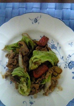 豆板醤と甜麺醤で我が家のホイコーロー-レシピのメイン写真