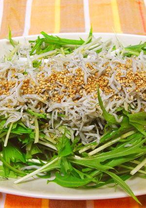 水菜とシラスのごま風味サラダ-レシピのメイン写真