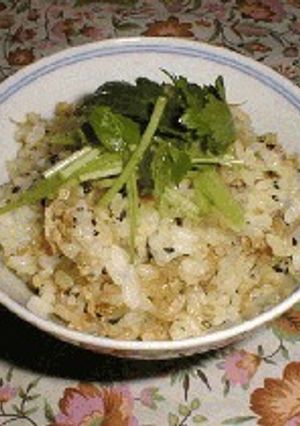 じゃこご飯-レシピのメイン写真