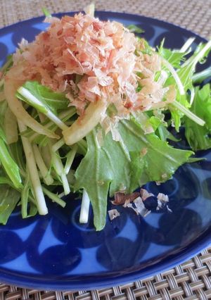 水菜と新タマネギのサラダ-レシピのメイン写真