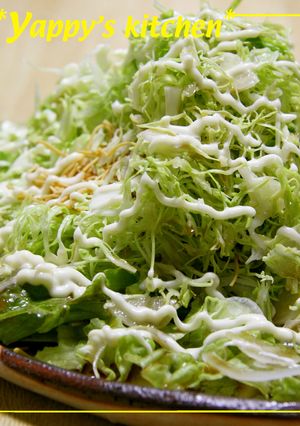 い～っぱい食べてね♥ぱりぱりキャベツ盛り-レシピのメイン写真