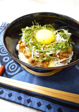 とろ～り濃厚チーズの納豆しらす丼-レシピのメイン写真