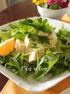 エスニックドレッシング・サラダ-レシピのメイン写真