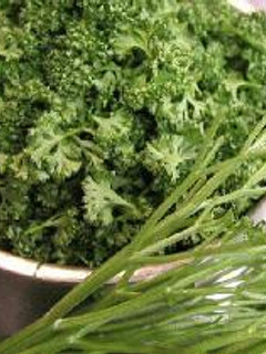 パセリの茎は冷凍保存で完全活用!-レシピのメイン写真