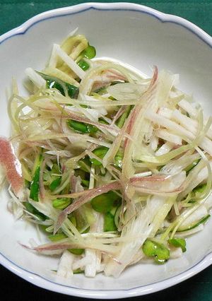 細切り野菜のタラコ風味サラダ-レシピのメイン写真