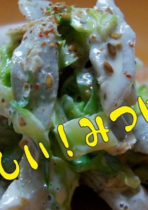 春キャベツと根野菜のサラダ-レシピのメイン写真