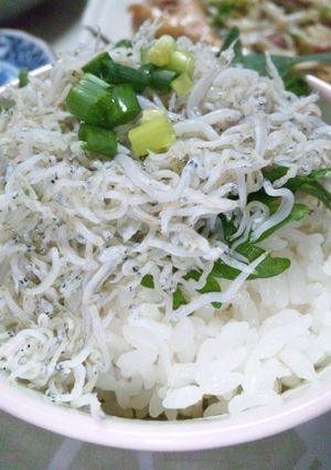 カルシウムの吸収が良くなる、しらすご飯。-レシピのメイン写真