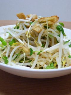 ヘルシー♪もやしのマスタードポン酢和え-レシピのメイン写真
