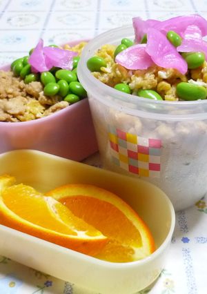 お弁当（12）-レシピのメイン写真