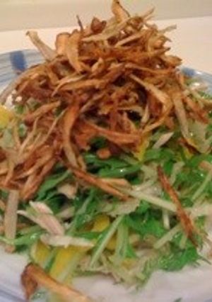 カリカリごぼうのサラダ-レシピのメイン写真
