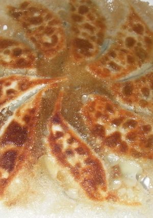 うそっこ先生の肉無し粗挽き豆腐餃子-レシピのメイン写真