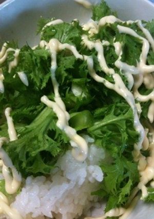 わさび菜ごはんわさび菜シリーズ その1-レシピのメイン写真