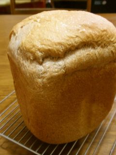 HBでココア食パン-レシピのメイン写真