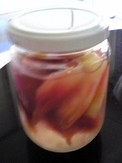 みょうがのらっきょ酢漬け-レシピのメイン写真