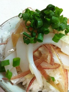 やりいかとミョウガの簡単丼-レシピのメイン写真