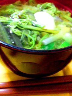 わらびと葉玉ねぎのお味噌汁-レシピのメイン写真