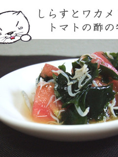 しらすとワカメとトマトの酢の物-レシピのメイン写真