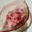 簡単!混ぜるだけ、フローズンヨーグルト★