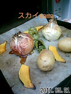 自然な甘味♪丸ごと焼き野菜-レシピのメイン写真
