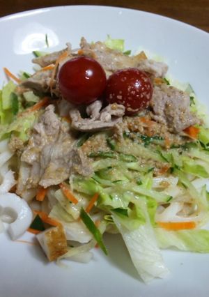 麺つゆでごまだれ！簡単サラダうどん～☆-レシピのメイン写真