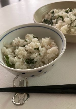 大葉と塩と油（ツナ缶）だけの美味しいご飯-レシピのメイン写真