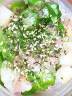ねばねばガリサラダ-レシピのメイン写真