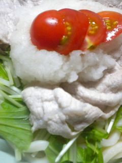 うどん(おろし豚シャブシャブ)-レシピのメイン写真