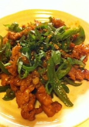 豚肉とピーマンのさっぱり炒め-レシピのメイン写真