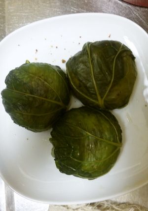 我が家のおにぎり②~野沢菜巻き~-レシピのメイン写真