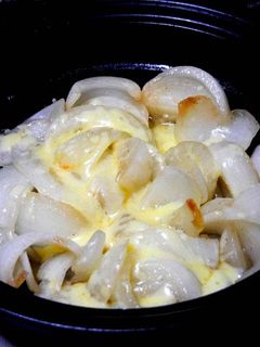新たまねぎのチーズ焼き-レシピのメイン写真