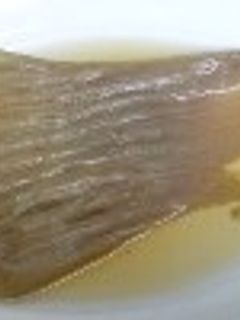薄味で素材の旨み☆かすべの煮付け-レシピのメイン写真