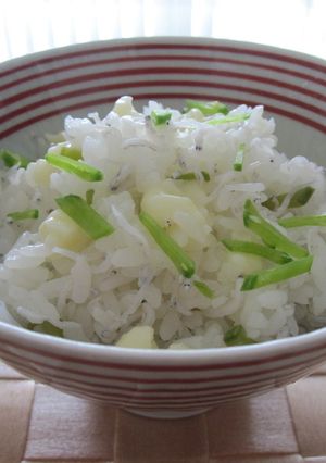 朝食に♡チーズと絹さやとジャコの御飯-レシピのメイン写真