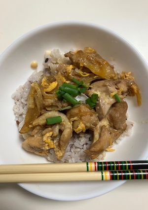 鶏飯のスープの残りで親子丼-レシピのメイン写真