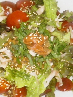 サラダ納豆ぶっかけそうめん-レシピのメイン写真