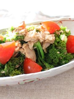 ããã¨ãããã³ãªã¼ã®ãµã©ã-ã¬ã·ãã®ã¡ã¤ã³åç