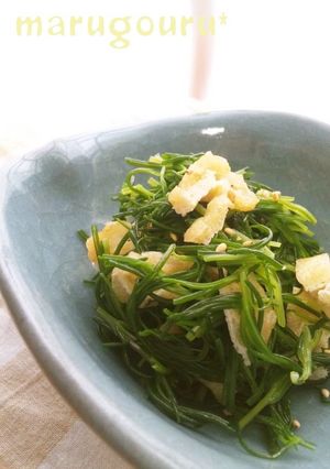 おかひじきの和え物-レシピのメイン写真