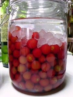 さくらんぼのお酒~ホワイトラム~-レシピのメイン写真