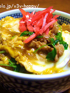 簡単で美味しい♪他人丼-レシピのメイン写真
