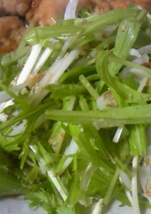 メインに添えて☆新玉ねぎと水菜のサラダ-レシピのメイン写真