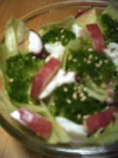 タコ+ブロッコリーのサラダ・和taste-レシピのメイン写真