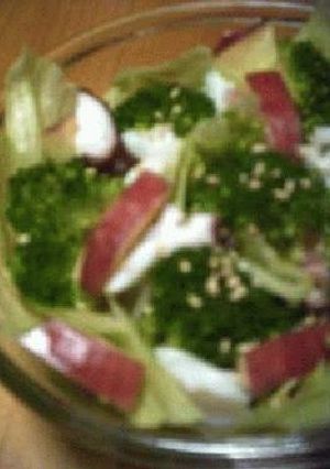 タコ＋ブロッコリーのサラダ・和ｔａｓｔｅ-レシピのメイン写真