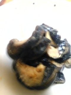 茄子のカラシ漬け-レシピのメイン写真