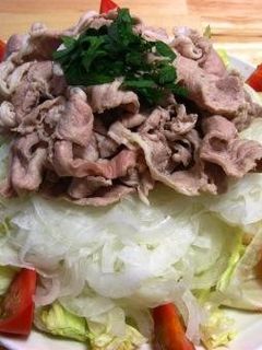 我が家の冷しゃぶさっぱりサラダ -レシピのメイン写真
