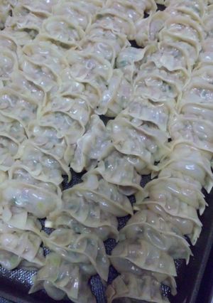 **餃子☆パーティー**-レシピのメイン写真