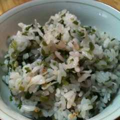 รูปของ 春ですねぇ～＊せりご飯＊