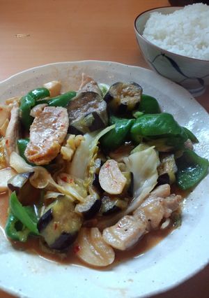 ブタと野菜の辛味噌炒め-レシピのメイン写真